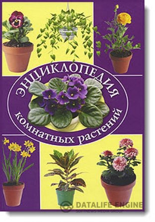 Обложка к А. В. Степура. Энциклопедия комнатных растений (2009) PDF