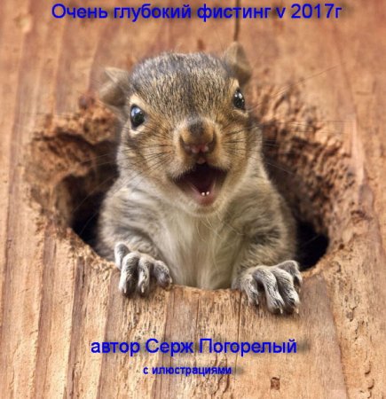 Обложка к Серж Погорелый. Очень глубокий фистинг (2017) FB2