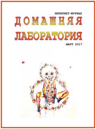 Обложка к Домашняя лаборатория №3 (март 2017) DJVU