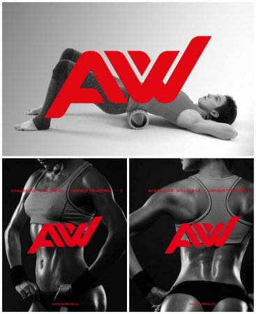 Обложка к Л. Подхалюзина - Силовая тренировка. Техника выполнения упражнений без оборудования. 3 книги (2016) PDF