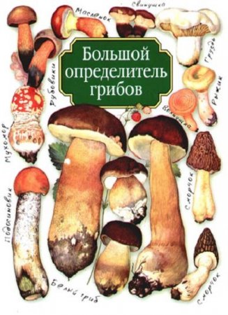 Обложка к Большой определитель грибов