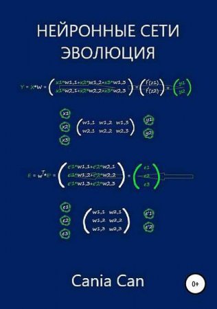 Обложка к Нейронный сети. Эволюция