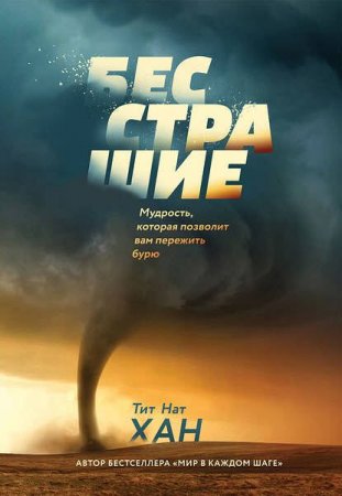 Обложка к Бесстрашие. Мудрость, которая позволит вам пережить бурю