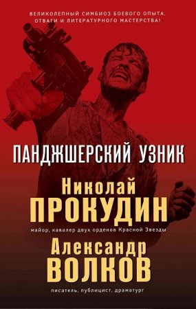 Обложка к Николай Прокудин, Александр Волков. Панджшерский узник (2019)