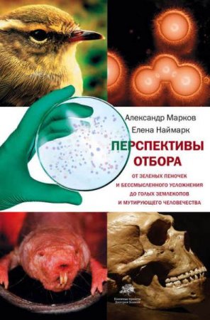 Обложка к Перспективы отбора