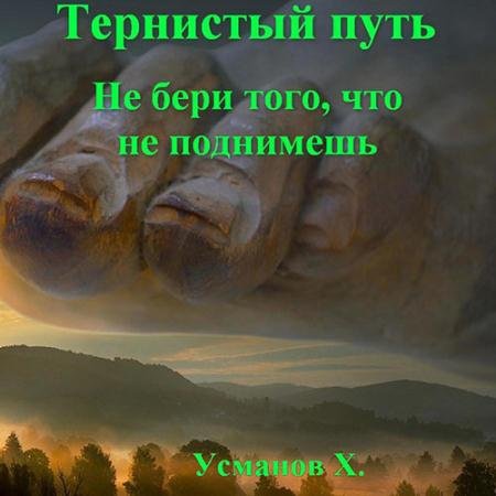 Обложка к Аудиокнига - Тернистый путь. Не бери того, что не поднимешь (2023) Усманов Хайдарали
