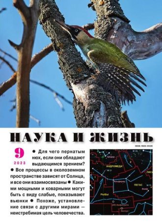 Обложка к Наука и жизнь №9 (сентябрь 2023)