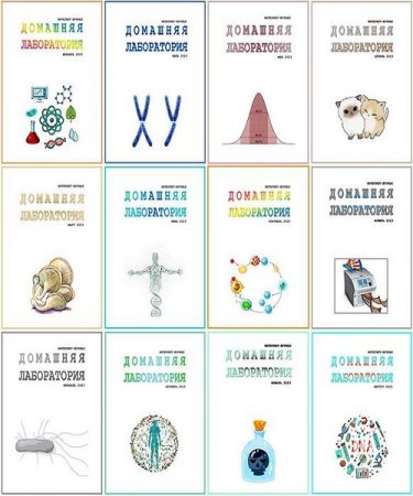 Обложка к Журнал Домашняя лаборатория - Подшивка за 2023 год