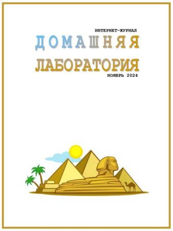 Обложка к Домашняя лаборатория №11 (ноябрь 2024)