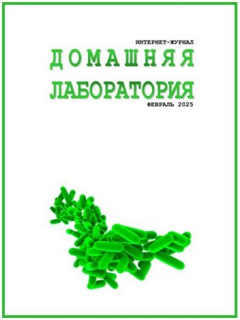Обложка к Домашняя лаборатория №2 (февраль 2025)